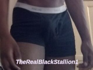 TheRealBlackStallion1