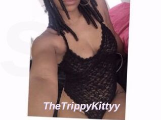 TheTrippyKittyy
