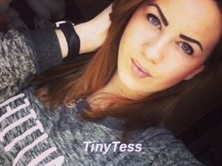 TinyTess