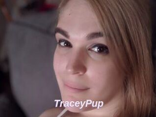 TraceyPup