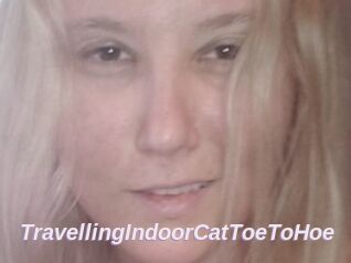 TravellingIndoorCatToeToHoe