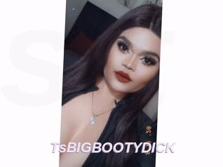 TsBIGBOOTYDICK