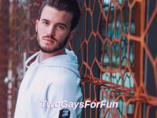 TwoGaysForFun