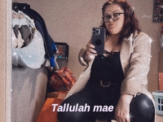 Tallulah_mae