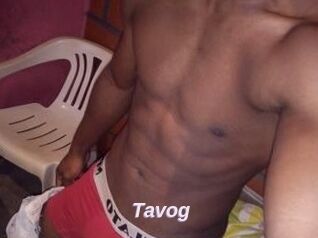 Tavog