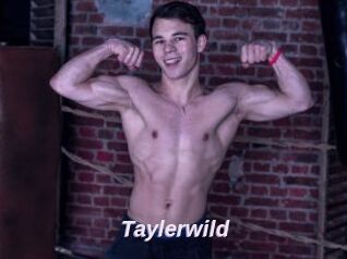 Taylerwild