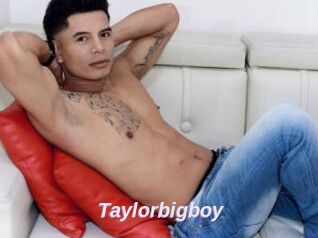 Taylorbigboy
