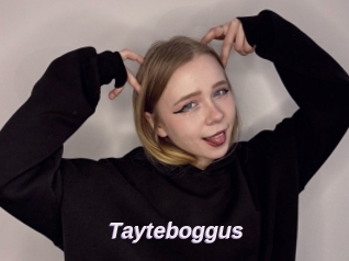 Tayteboggus