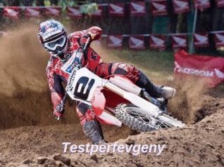 Testperfevgeny
