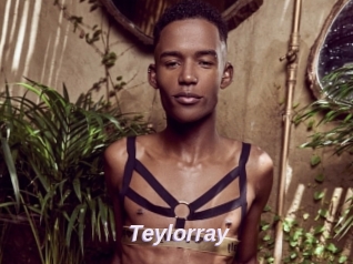 Teylorray