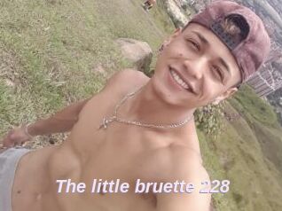 The_little_bruette_228