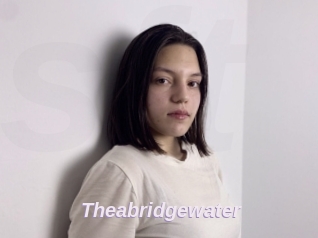Theabridgewater