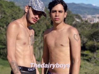 Thedairyboys