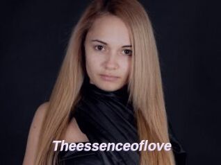 Theessenceoflove