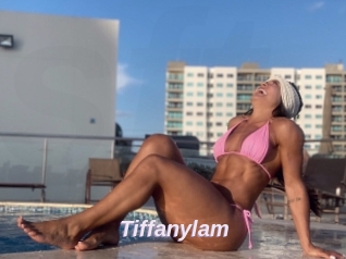 Tiffanylam