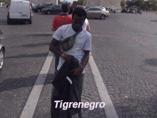 Tigrenegro