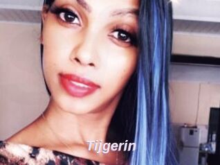 Tijgerin