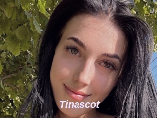 Tinascot
