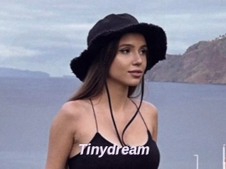 Tinydream