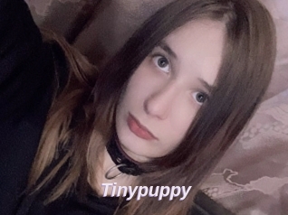 Tinypuppy