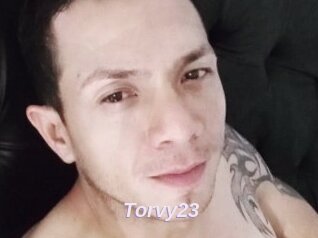 Torvy23