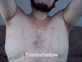 Transshadow