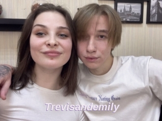 Trevisandemily