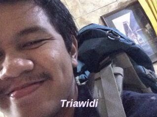 Triawidi