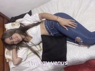 Twiggy_venus
