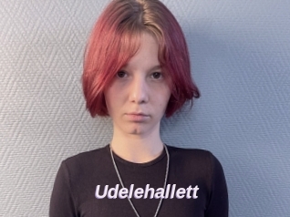Udelehallett