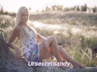 Ursecretsandy