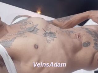 VeinsAdam