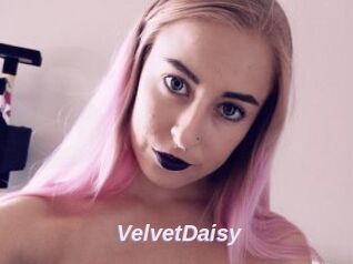 VelvetDaisy