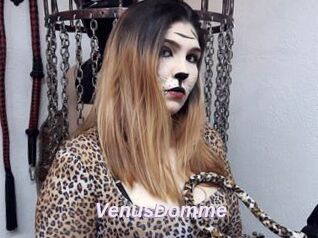 VenusDomme