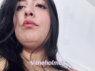 Vaneholmes