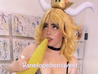 Vanelopebonsweet