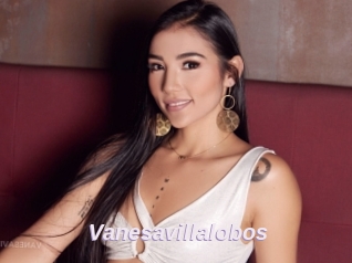 Vanesavillalobos