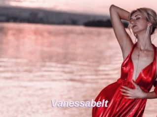 Vanessabelt