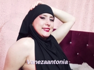Vanezaantonia