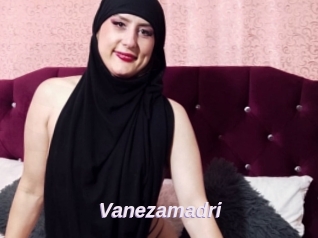 Vanezamadri