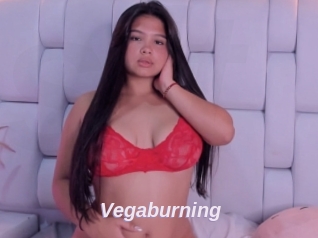 Vegaburning