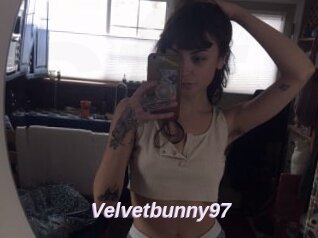 Velvetbunny97