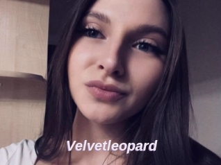 Velvetleopard