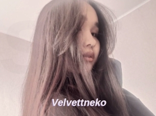 Velvettneko