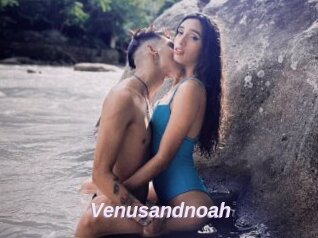 Venusandnoah