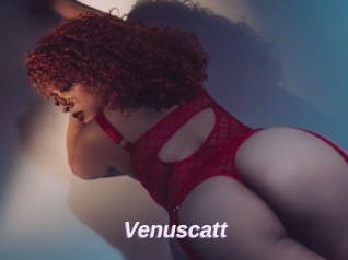 Venuscatt