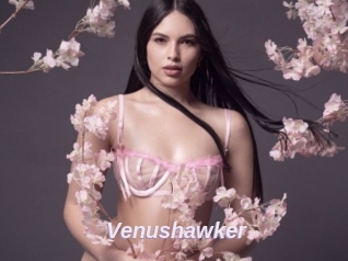 Venushawker