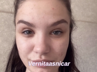 Vernitaasnicar