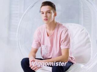 Viggomister