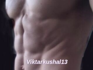 Viktarkushal13